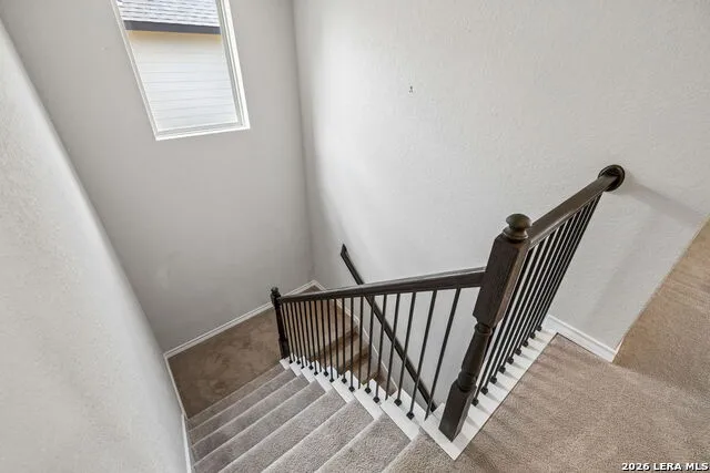 8624 Dove Pass San Antonio, TX 78254