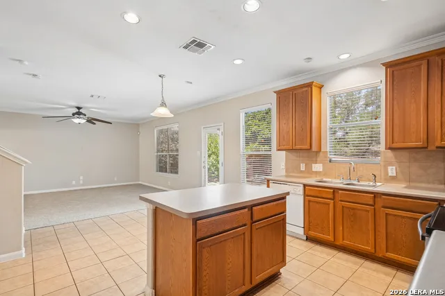 918 Palladio Pl San Antonio, TX 78253