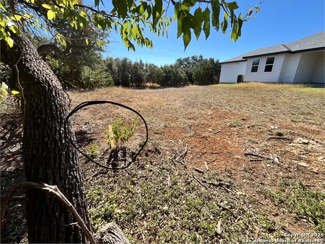 231 Peter Kleid Loop Blanco, TX 78606