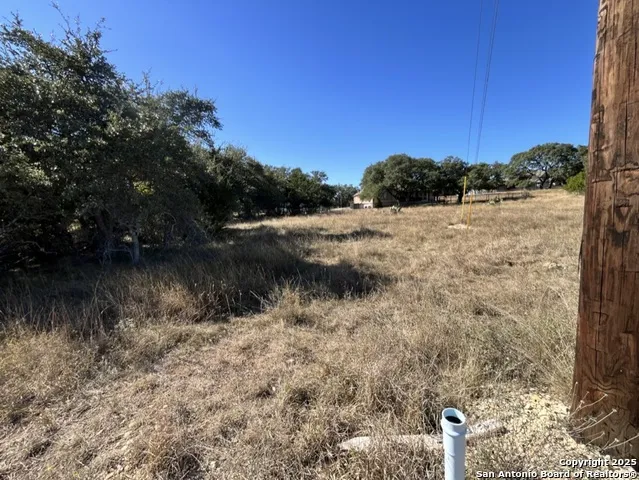 231 Peter Kleid Loop Blanco, TX 78606