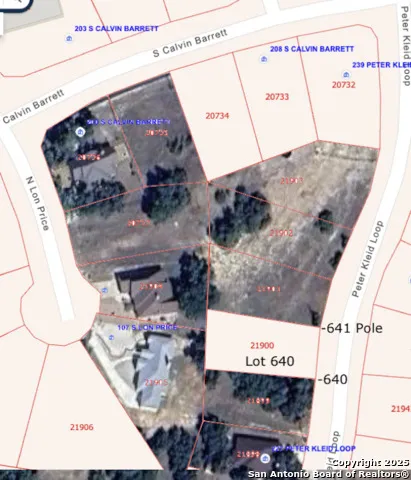 231 Peter Kleid Loop Blanco, TX 78606