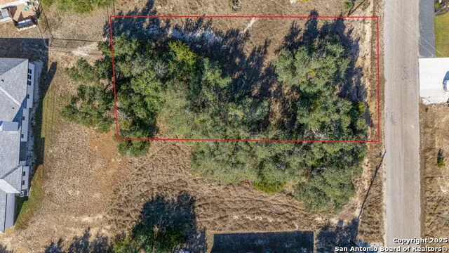 231 Peter Kleid Loop Blanco, TX 78606