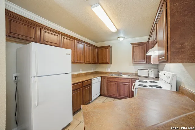 11443 Creek Eagle San Antonio, TX 78245