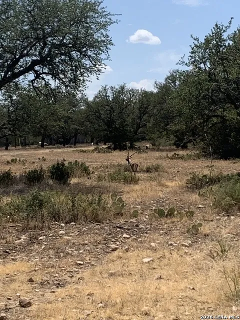 2724 Sd 24910 Rocksprings, TX 78880