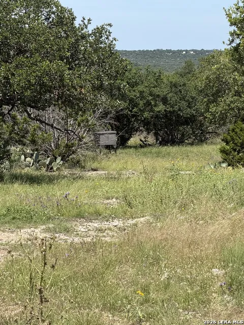 2724 Sd 24910 Rocksprings, TX 78880