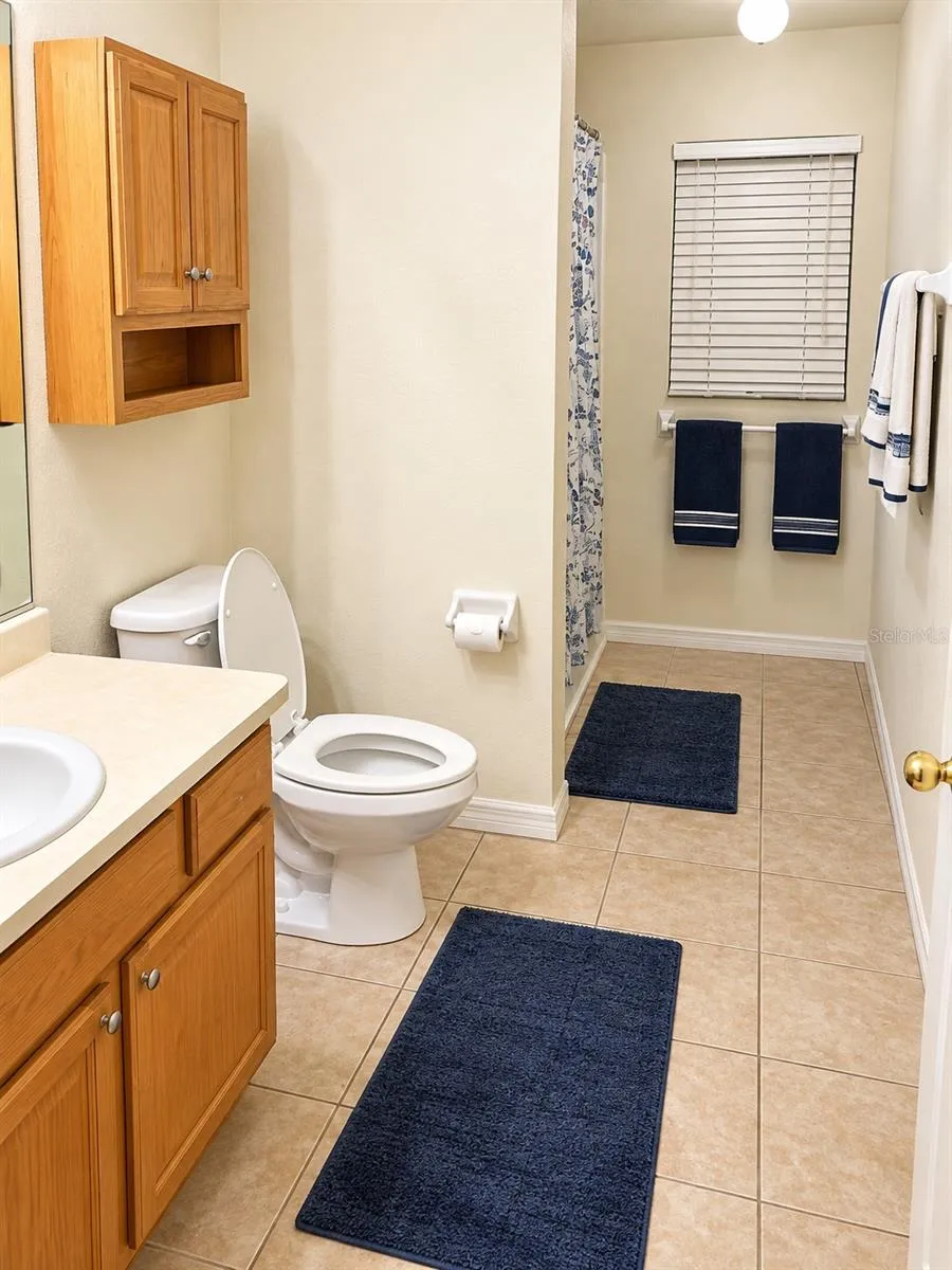24107 MILFORD DRIVE Eustis, FL 32736