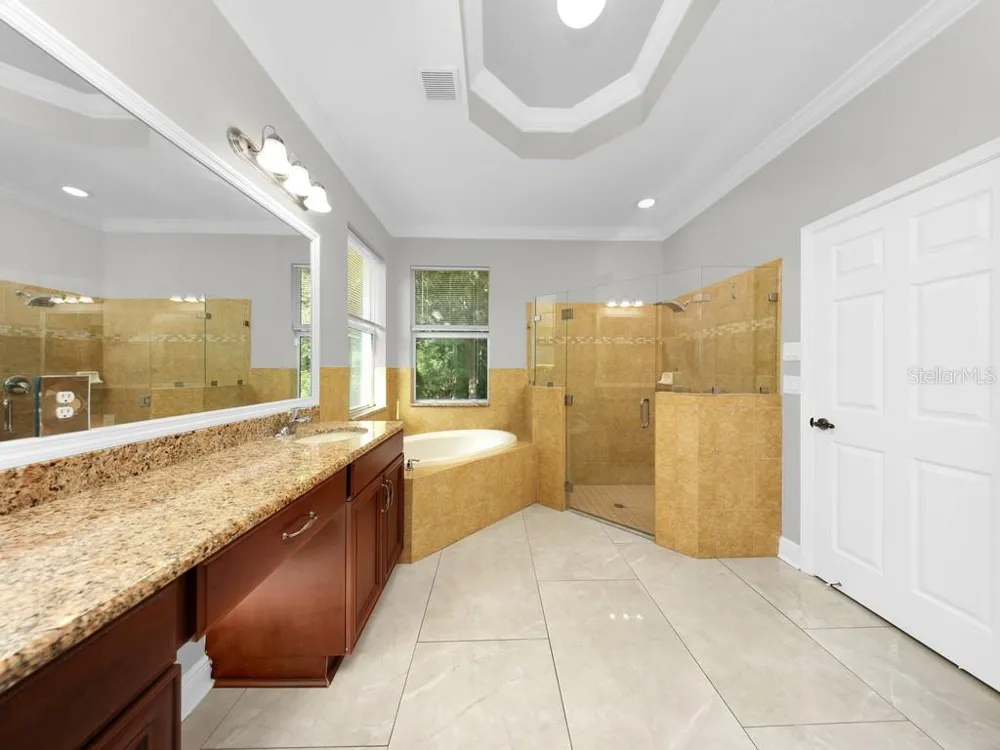 8710 PRESTON WOODS COURT Land O Lakes, FL 34638