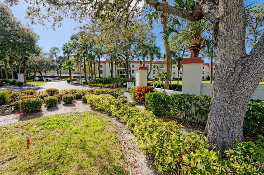 2700 BAYSHORE BOULEVARD #2204 Dunedin, FL 34698