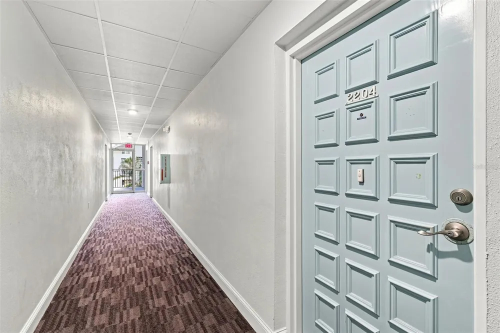2700 BAYSHORE BOULEVARD #2204 Dunedin, FL 34698