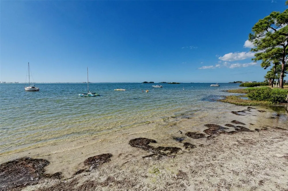 2700 BAYSHORE BOULEVARD #2204 Dunedin, FL 34698