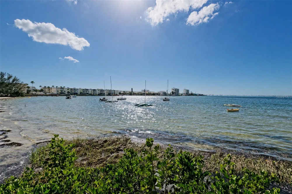 2700 BAYSHORE BOULEVARD #2204 Dunedin, FL 34698