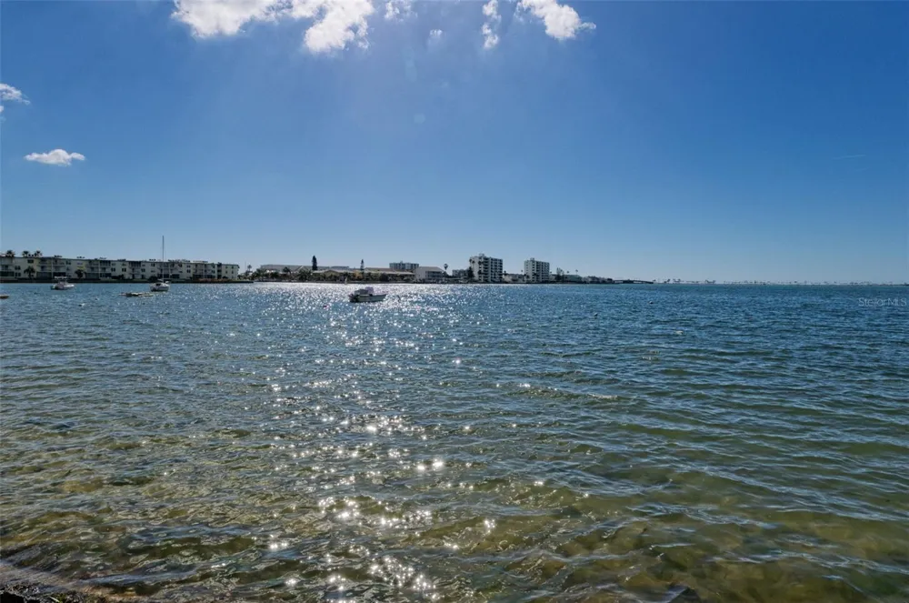 2700 BAYSHORE BOULEVARD #2204 Dunedin, FL 34698