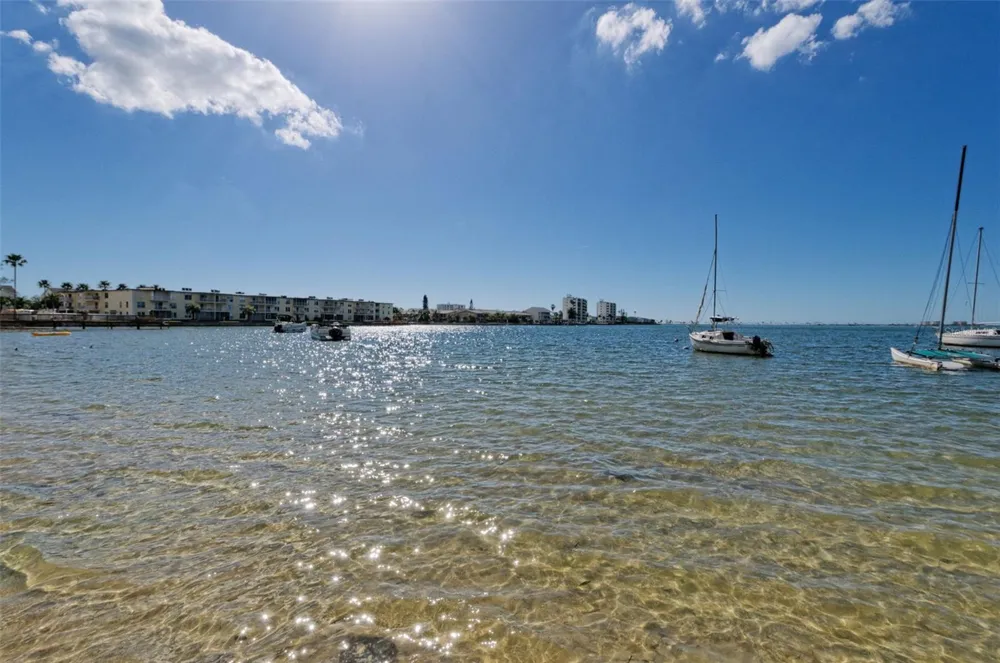 2700 BAYSHORE BOULEVARD #2204 Dunedin, FL 34698