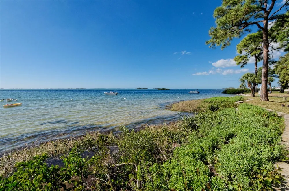 2700 BAYSHORE BOULEVARD #2204 Dunedin, FL 34698