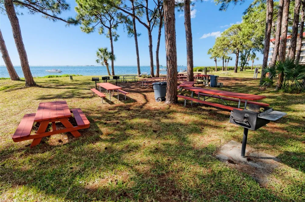 2700 BAYSHORE BOULEVARD #2204 Dunedin, FL 34698