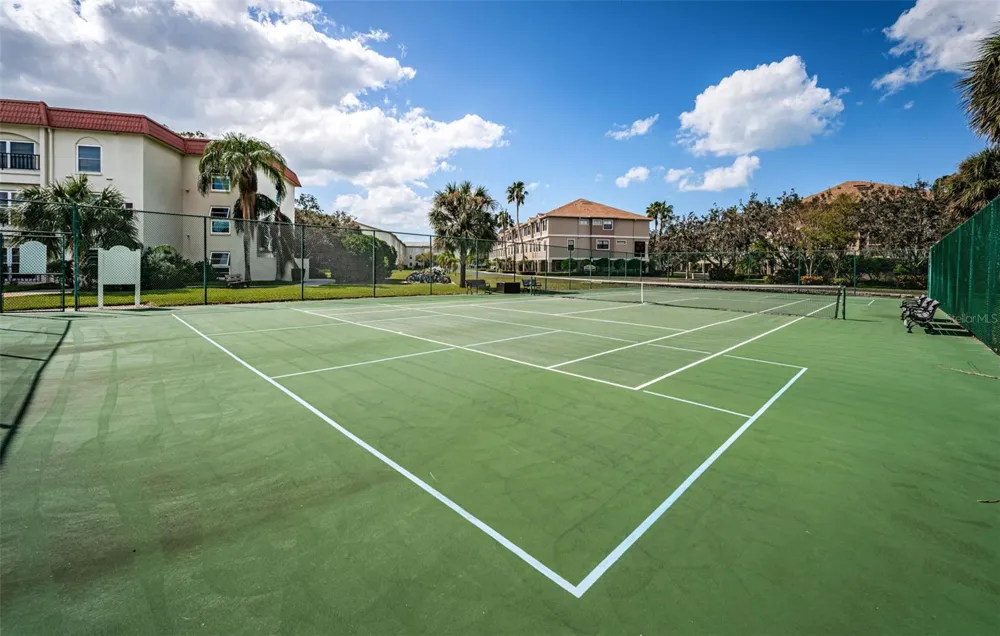 2700 BAYSHORE BOULEVARD #2204 Dunedin, FL 34698