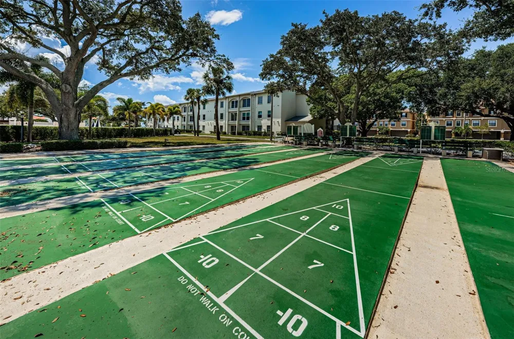 2700 BAYSHORE BOULEVARD #2204 Dunedin, FL 34698
