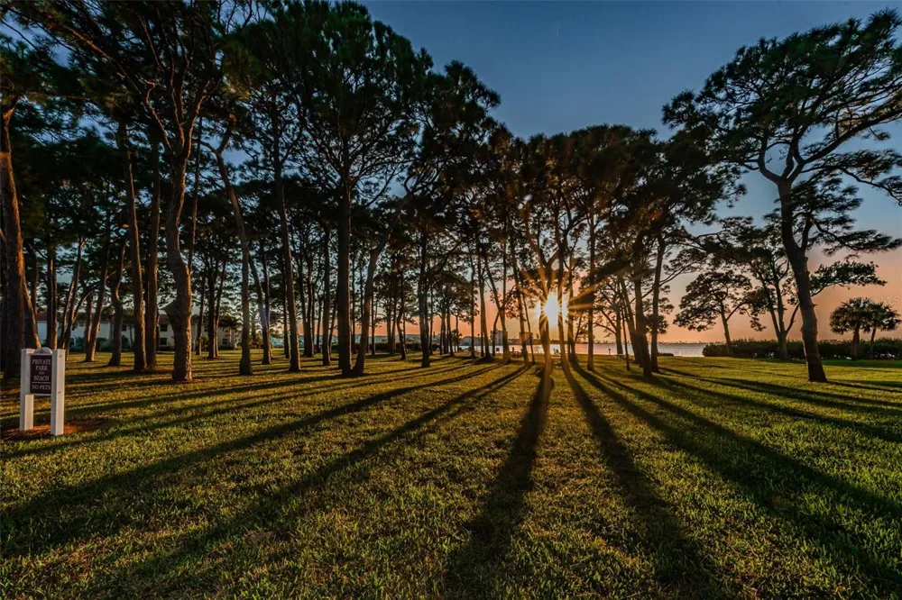 2700 BAYSHORE BOULEVARD #2204 Dunedin, FL 34698
