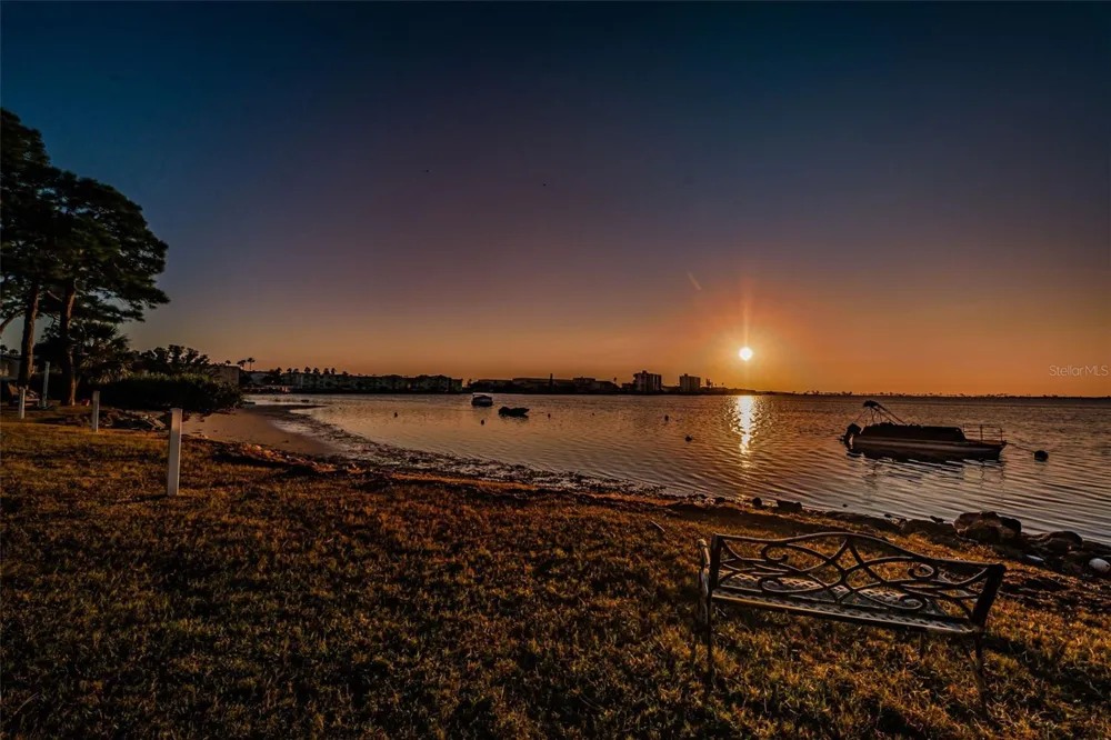 2700 BAYSHORE BOULEVARD #2204 Dunedin, FL 34698