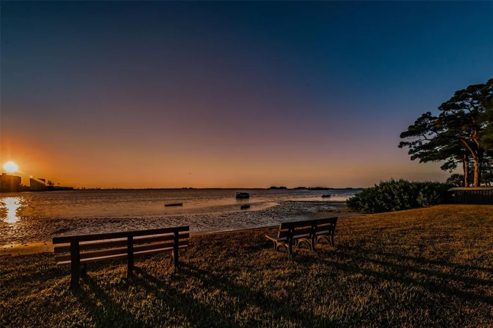 2700 BAYSHORE BOULEVARD #2204 Dunedin, FL 34698