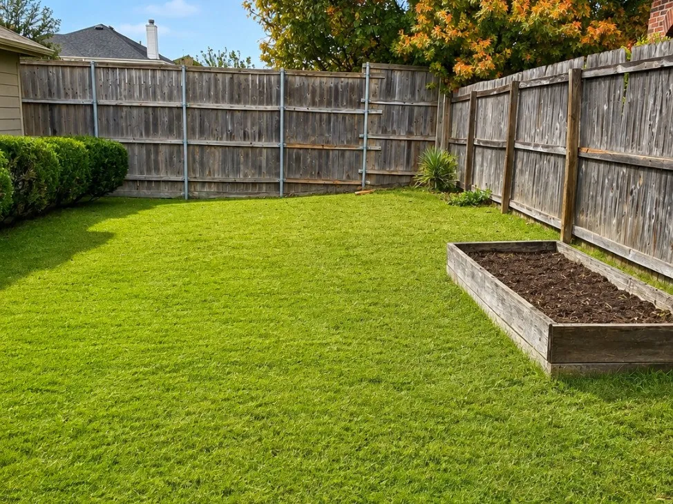 3320 Truman Street McKinney, TX 75071