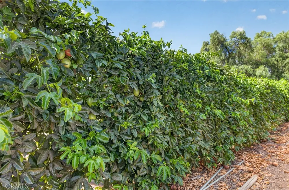 2801 E Mission Fallbrook, CA 92028