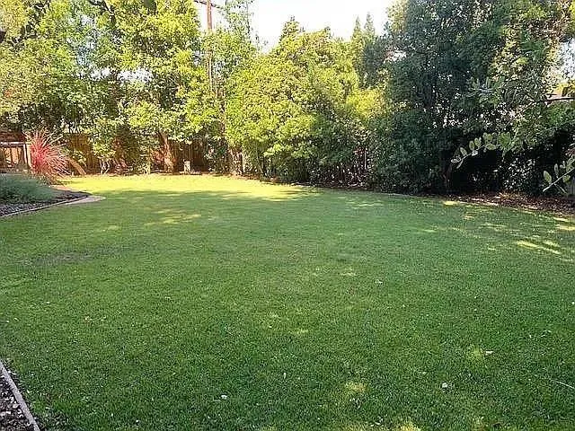 1804 Newcastle Drive Los Altos, CA 94024