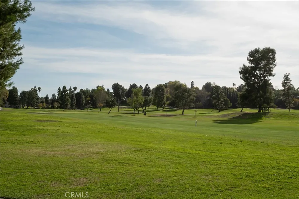 2103 Ronda Granada #U Laguna Woods, CA 92637