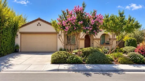 921 Verissimo Court