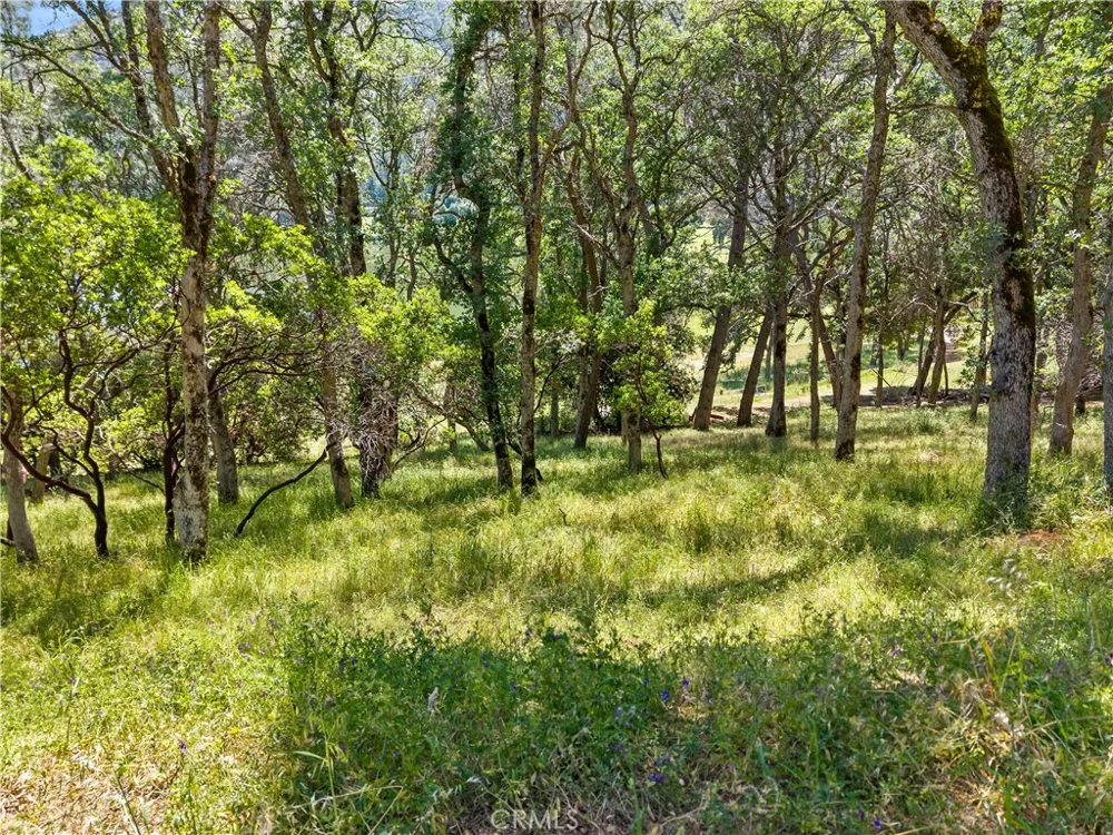8239 Little Borax Lake Rd Kelseyville, CA 95451