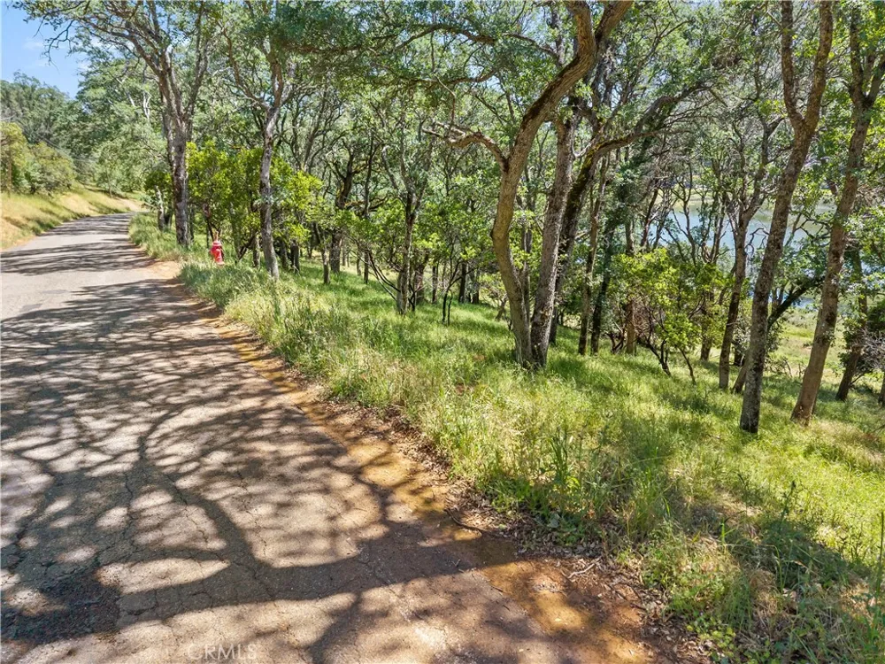 8239 Little Borax Lake Rd Kelseyville, CA 95451