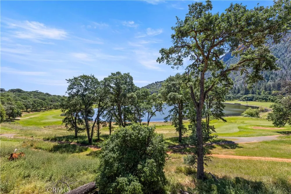 8239 Little Borax Lake Rd Kelseyville, CA 95451