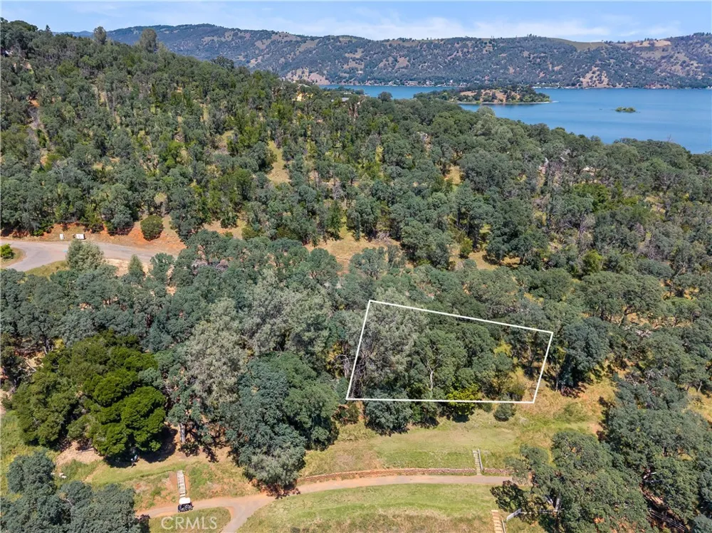 8259 Little Borax Lake Rd Kelseyville, CA 95451