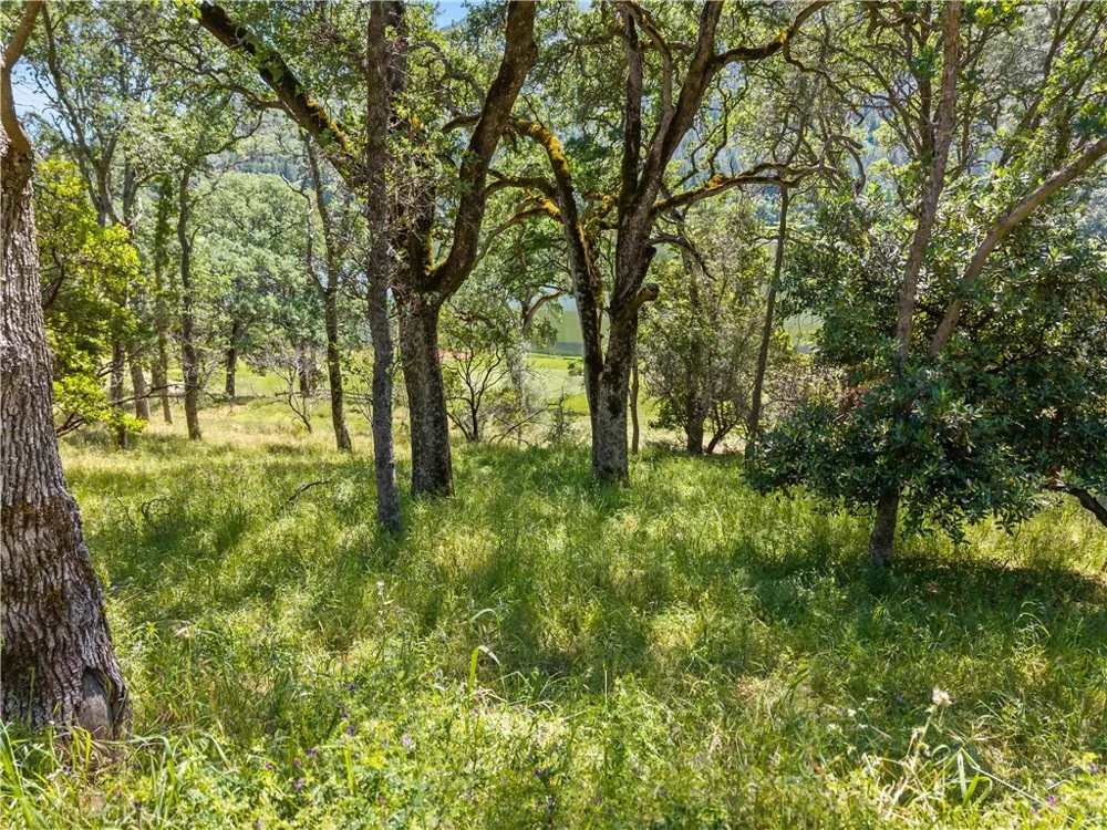 8259 Little Borax Lake Rd Kelseyville, CA 95451