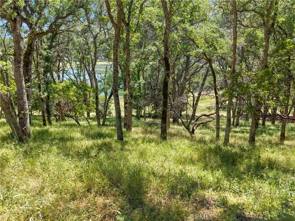 8259 Little Borax Lake Rd Kelseyville, CA 95451