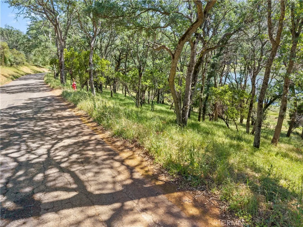 8259 Little Borax Lake Rd Kelseyville, CA 95451