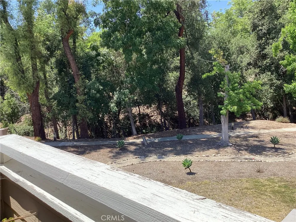 23531 Avenida La Caza #B Coto de Caza, CA 92679