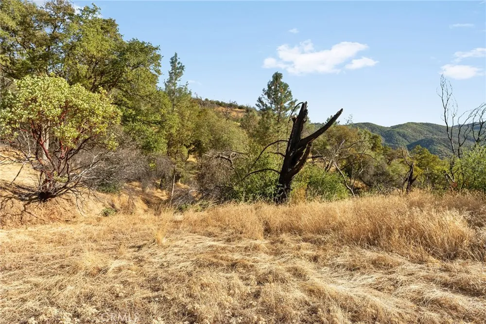 Spence Berry Creek, CA 95966