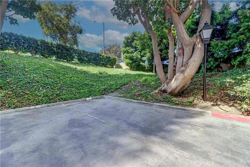 576 Bellflower Boulevard #303 Long Beach, CA 90814