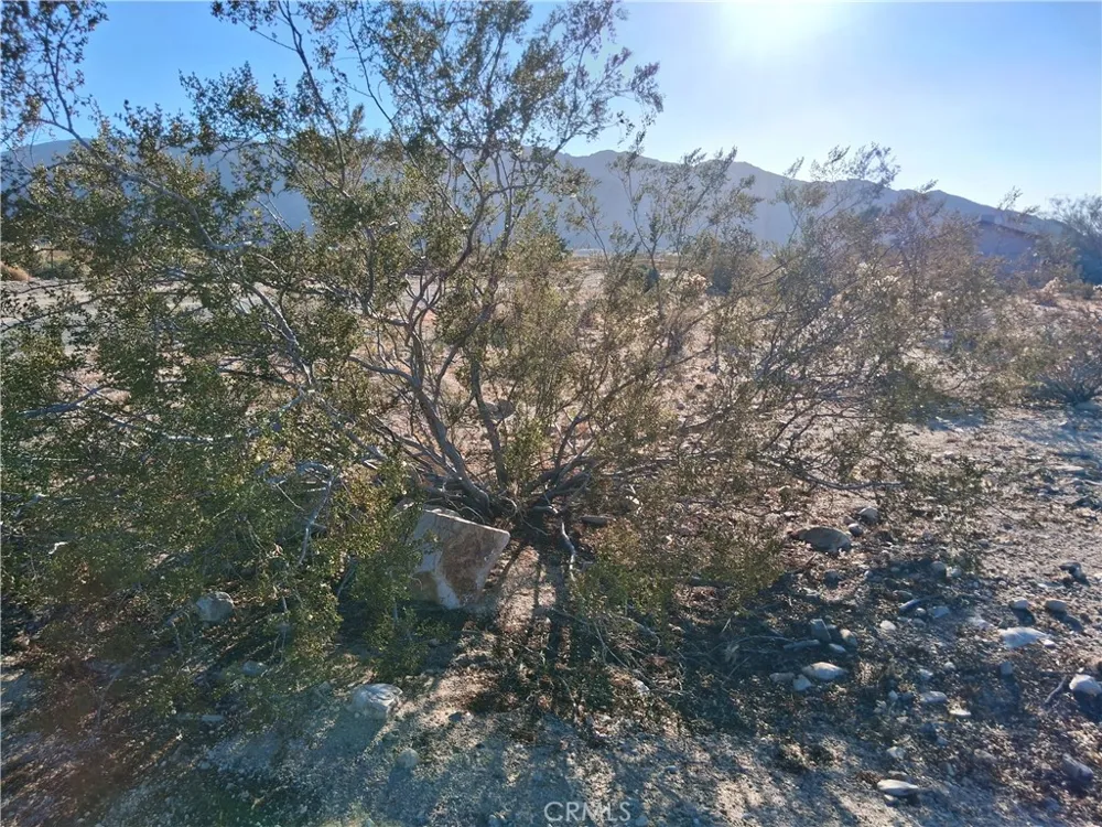 111 Morning Dr. 29 Palms, CA 92277