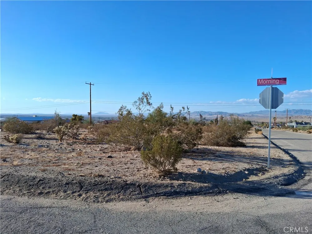 111 Morning Dr. 29 Palms, CA 92277