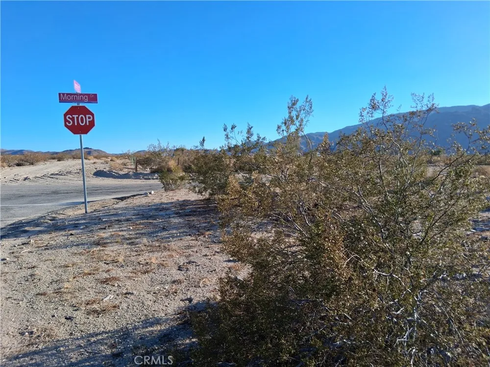 111 Morning Dr. 29 Palms, CA 92277