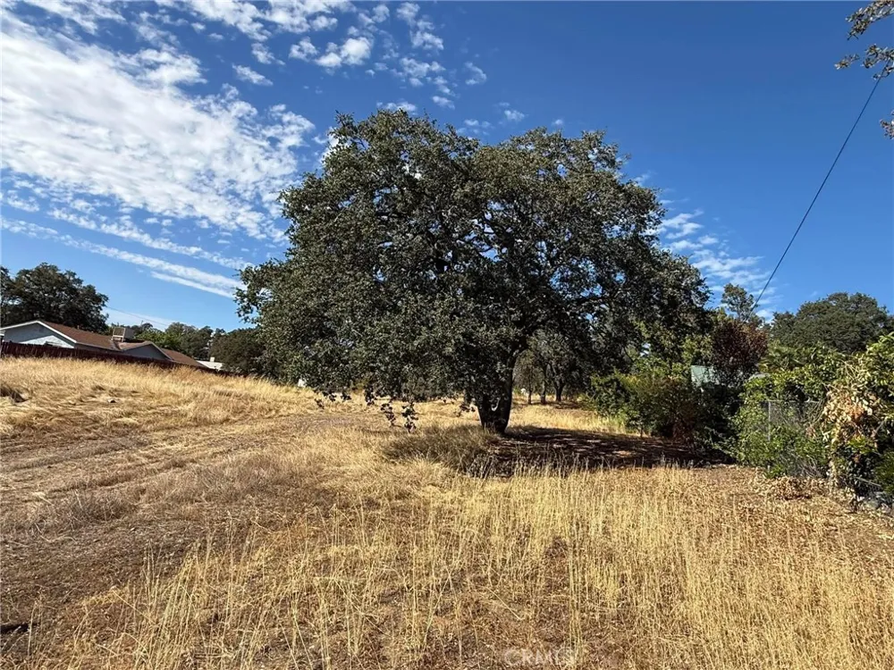 3431 Oro Bangor Oroville, CA 95966