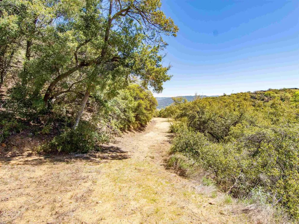 17 Bobcat Trail Santa Ysabel, CA 92070