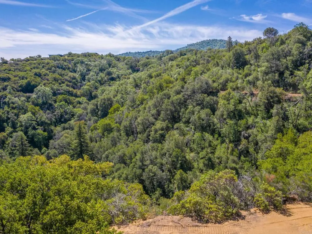 17 Bobcat Trail Santa Ysabel, CA 92070