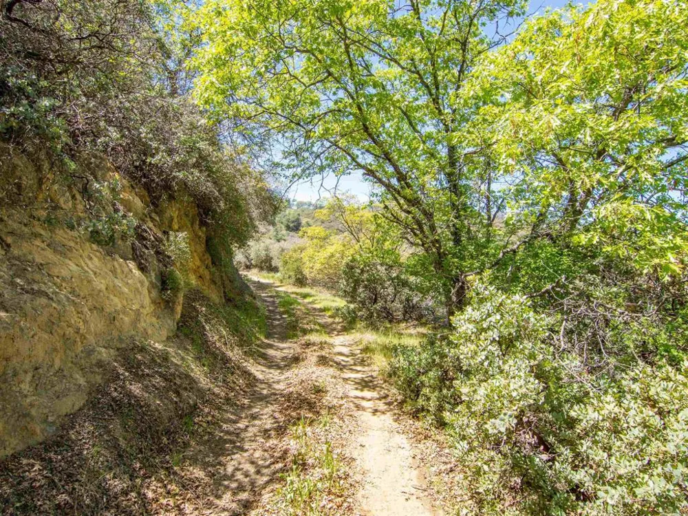 17 Bobcat Trail Santa Ysabel, CA 92070
