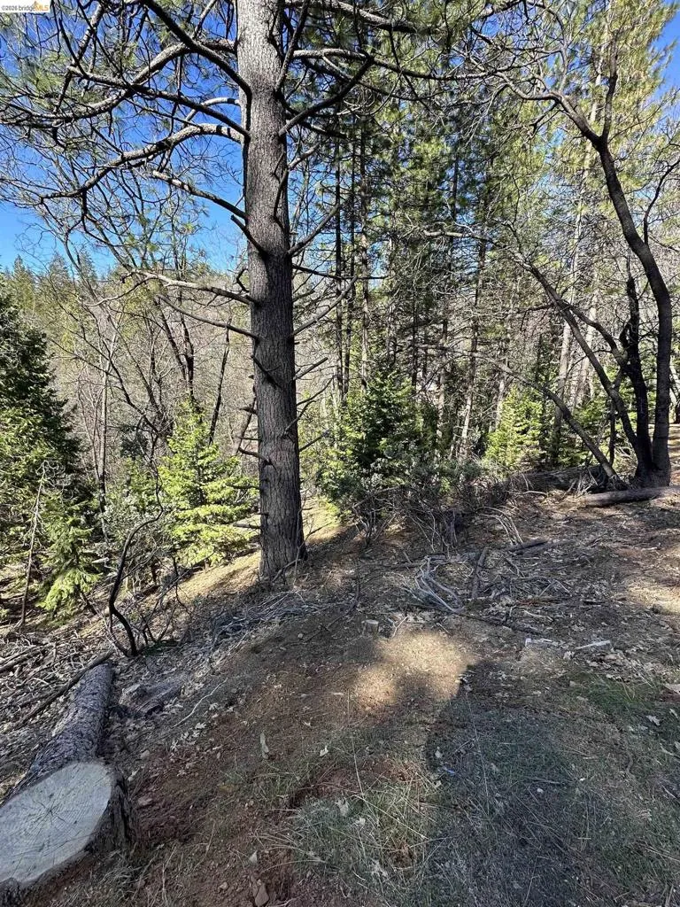 23956 Stable Rd Sonora, CA 95370