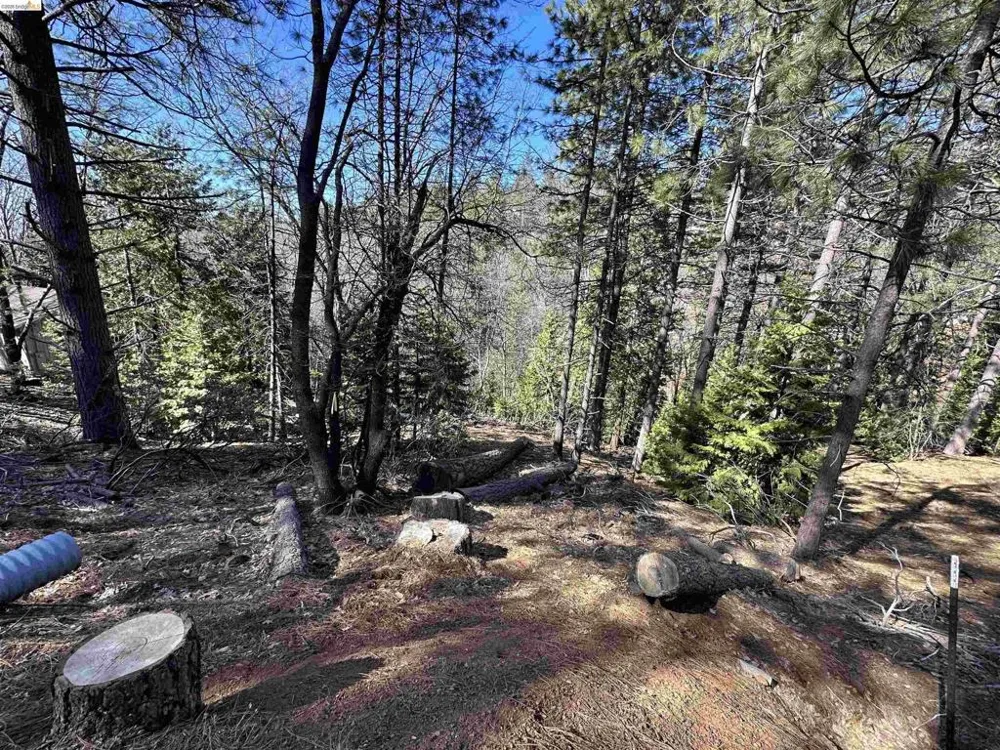 23956 Stable Rd Sonora, CA 95370