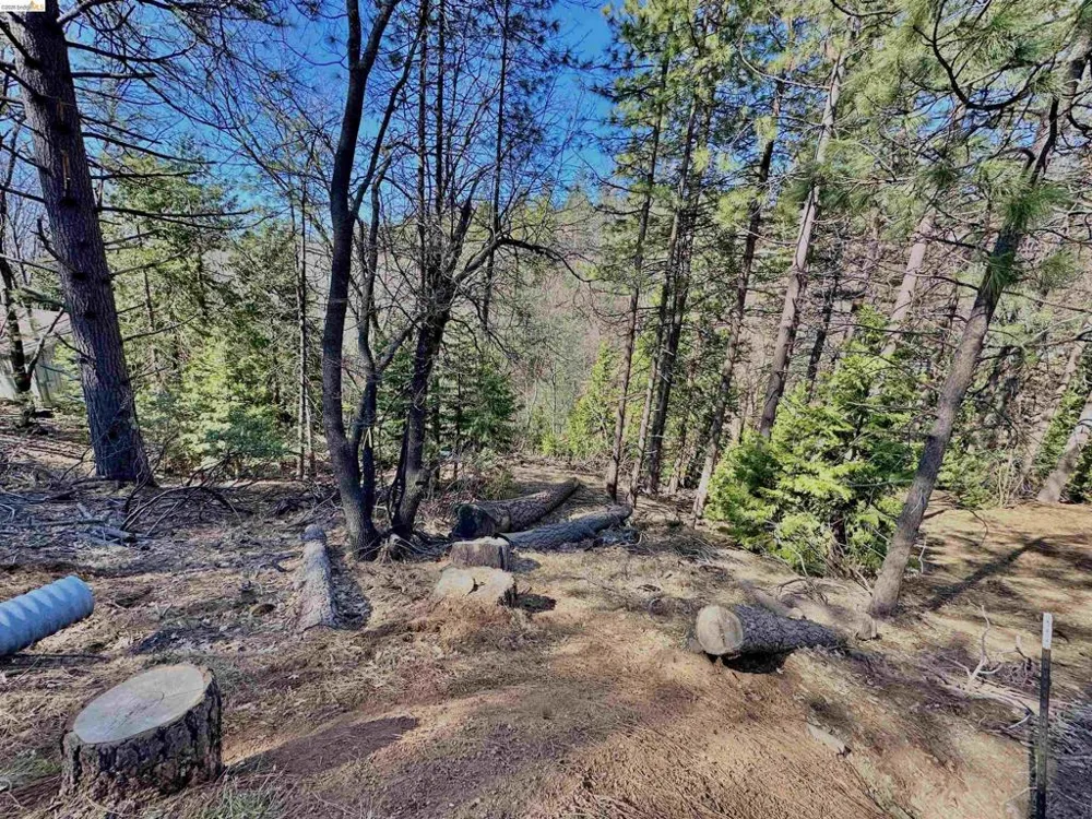 23956 Stable Rd Sonora, CA 95370