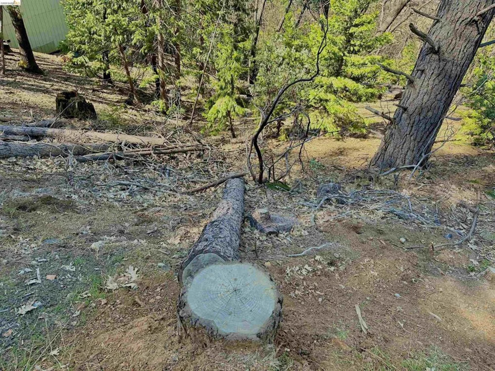 23956 Stable Rd Sonora, CA 95370
